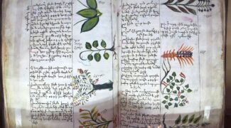 Հայ գիտնականի 7 անտիպ աշխատությունը բժշկության վերաբերյալ. 15-րդ դար